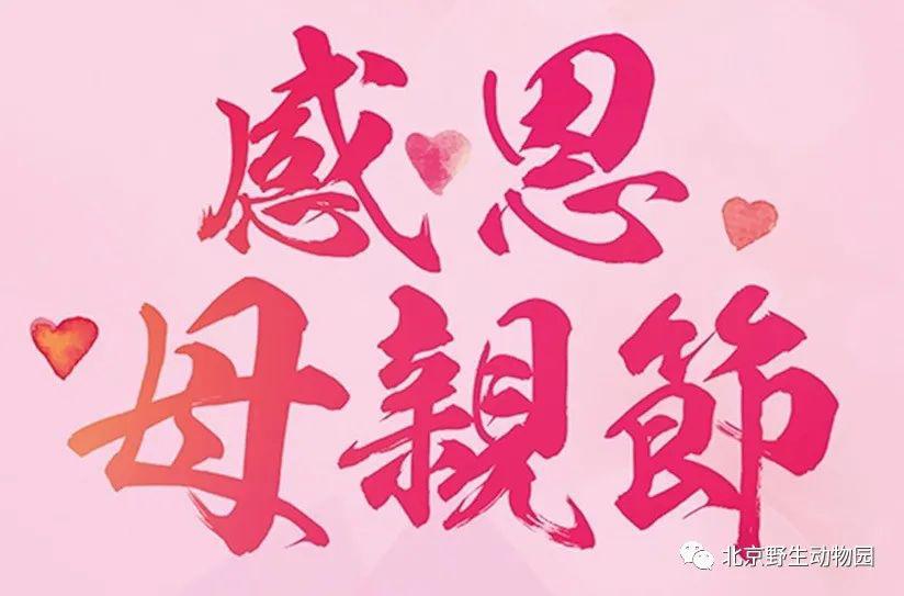 女本柔弱为母则刚母亲节快乐