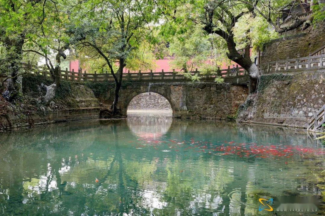 夏日炎炎 避暑我们选择玉溪九龙池