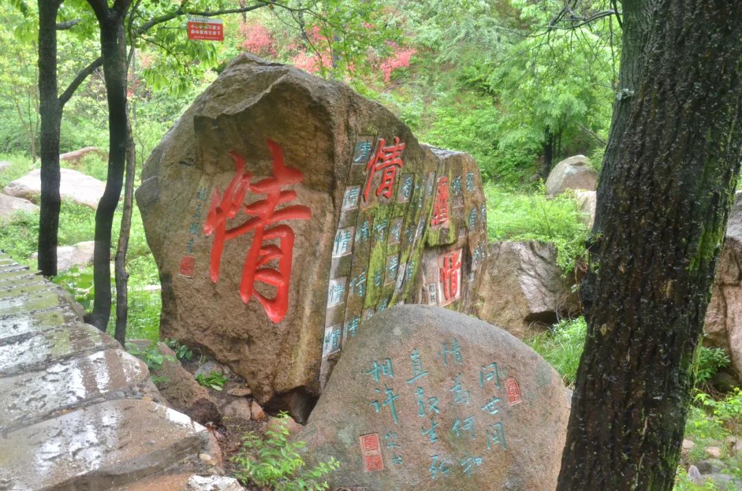 西泰山情侣古道,最大特色是休闲不累,锦鲤成群,爱情石刻,恐龙化石