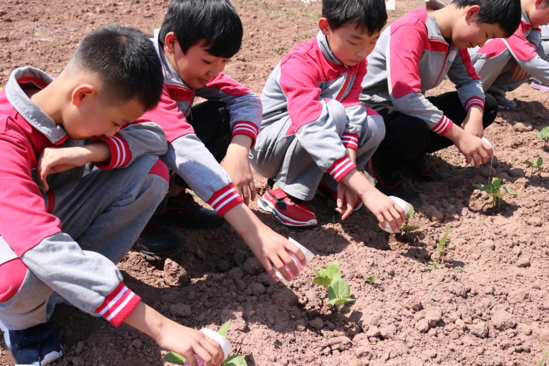 石蟆小学文明就餐倡议书