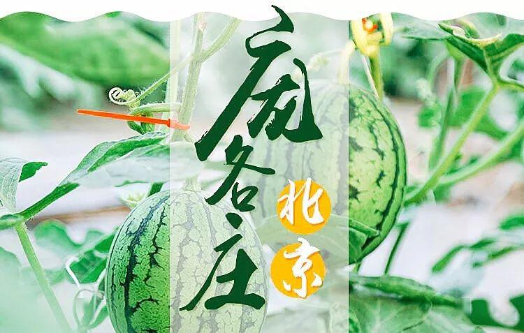 "吃瓜群众"注意了,ta来了!_庞各庄