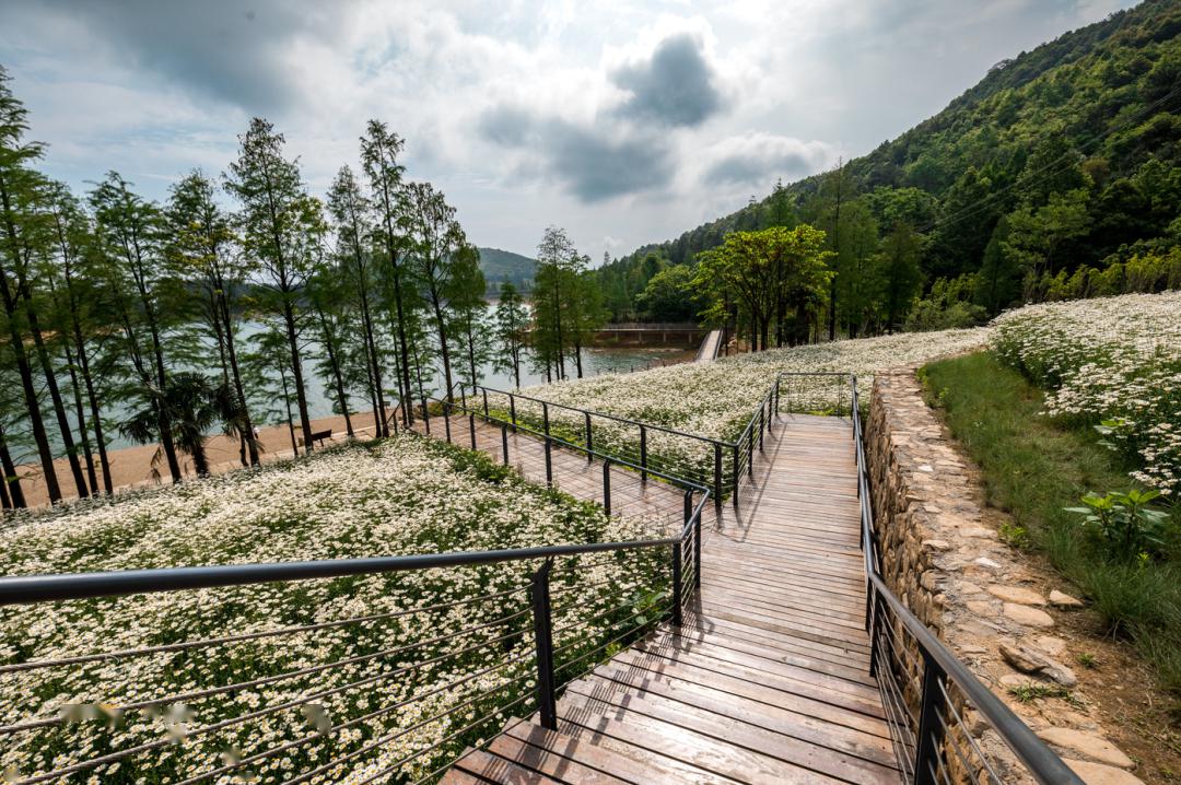 山關-雙龍溪峽谷-鹿女湖山關-金華山森林露營