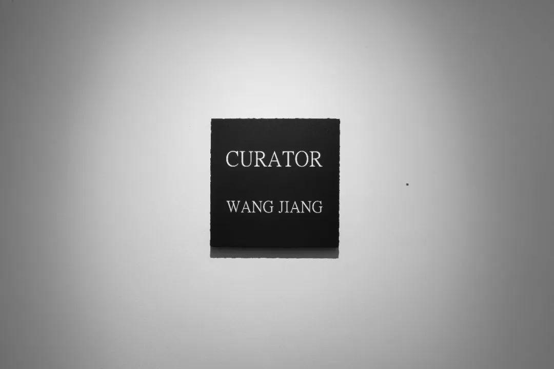 王将策划 《致谢诸位》 2019 晨画廊问:你认为好的