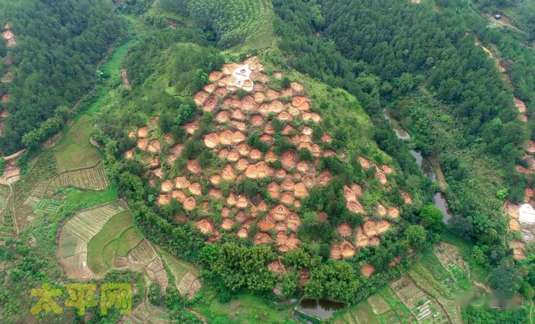 風水好藤縣太平鎮這座小山丘竟然葬了近200座墳墓