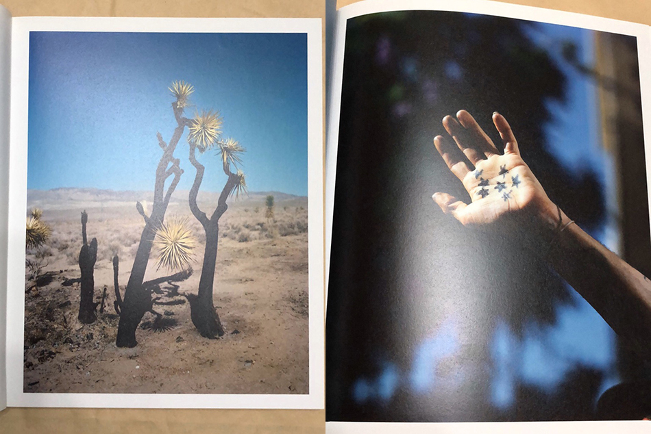 摄影好书zzyzx一种风干的加州梦