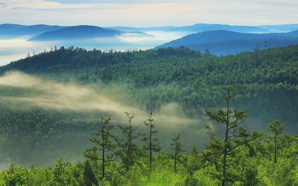 搬进山林之间很难在这其中获取纯粹的美好旅途的美好,短暂且劳累*意境