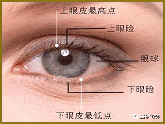 眼睑由皮肤,结缔组织,肌肉,腺体组织和结膜组成,是保护眼球的重要结构