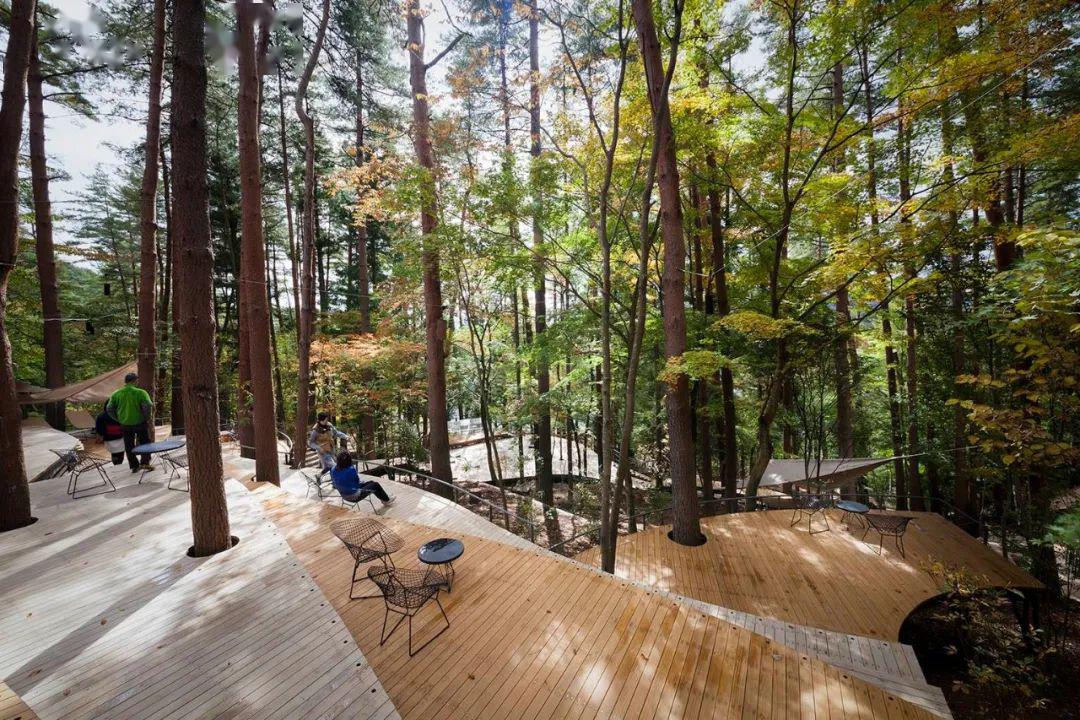 绿道景观设计的八大要点