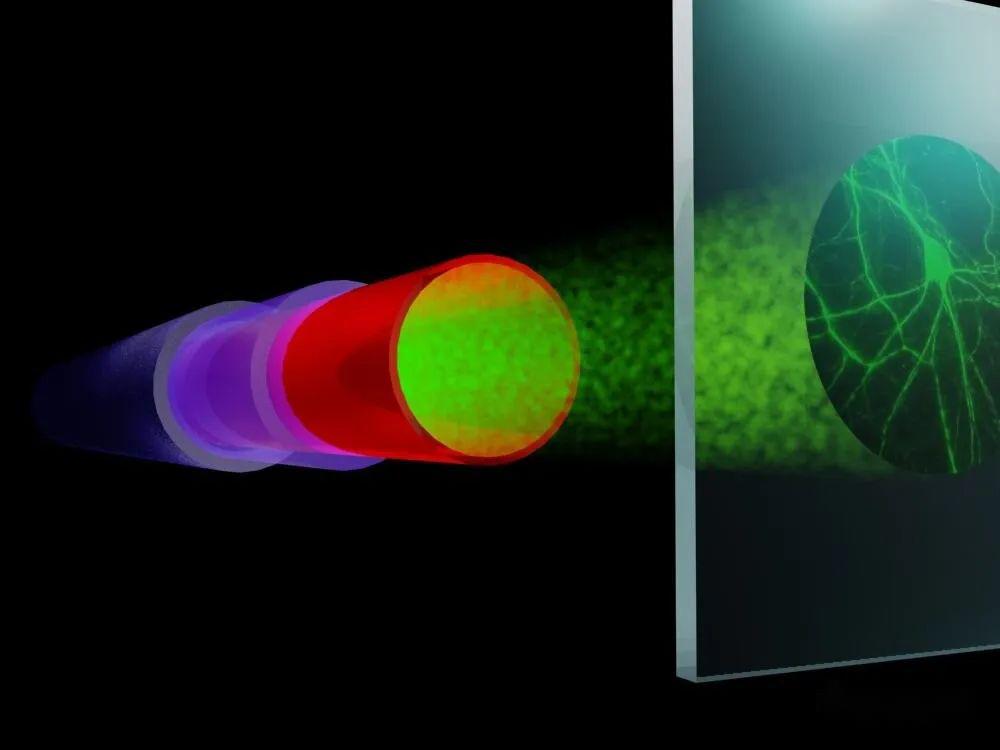 光纤成像:超出分辨率和速度的限制