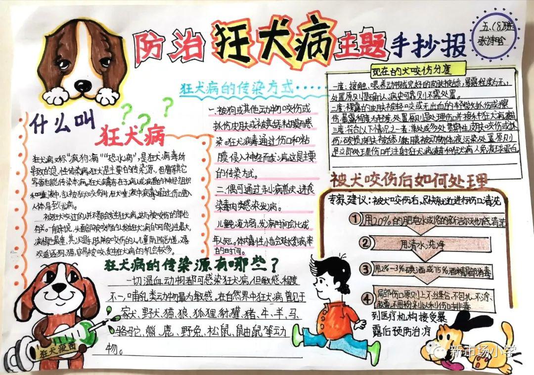 狂犬病手抄报发作图片