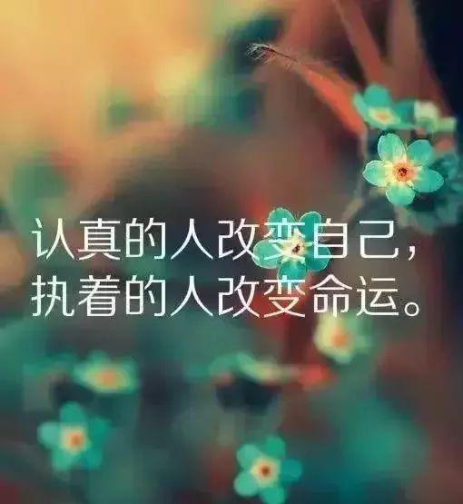 像花儿一样美丽的话送给你