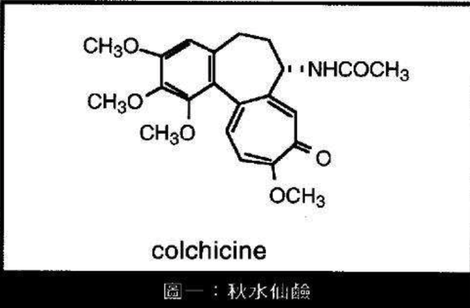 秋水仙素结构图片