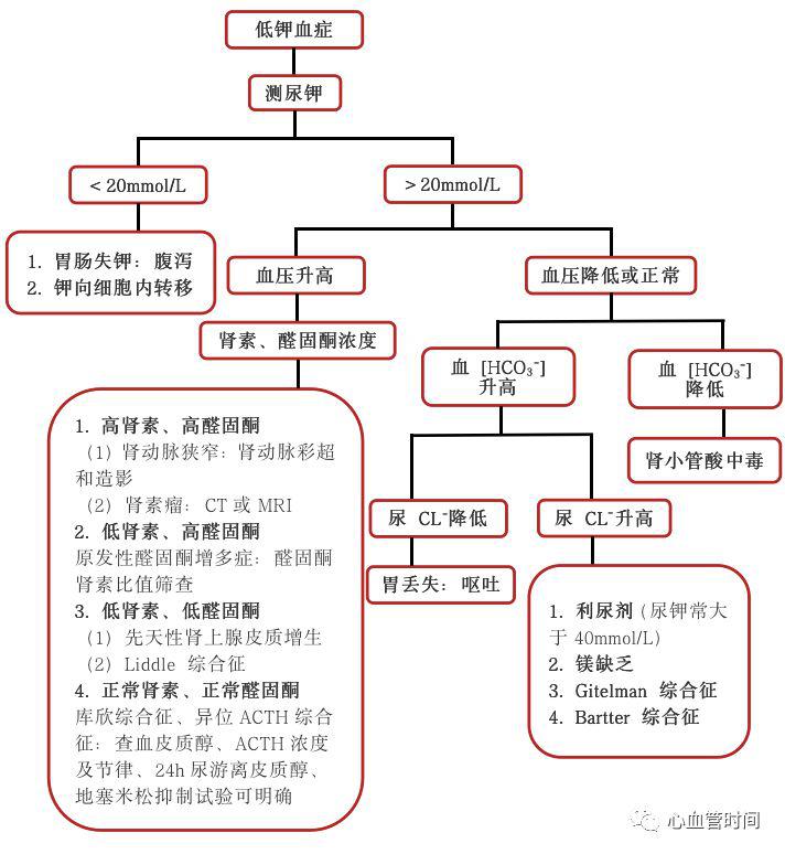 一图牢记低钾血症诊断流程