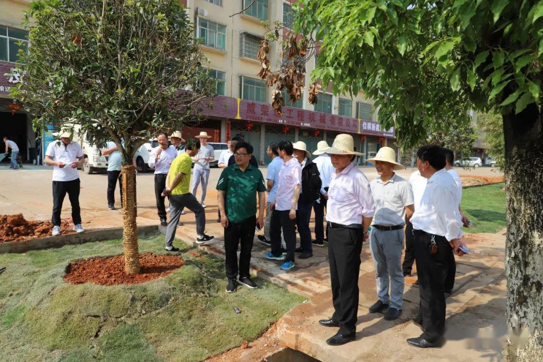 高安八景这七条路大变化!你发现了吗?