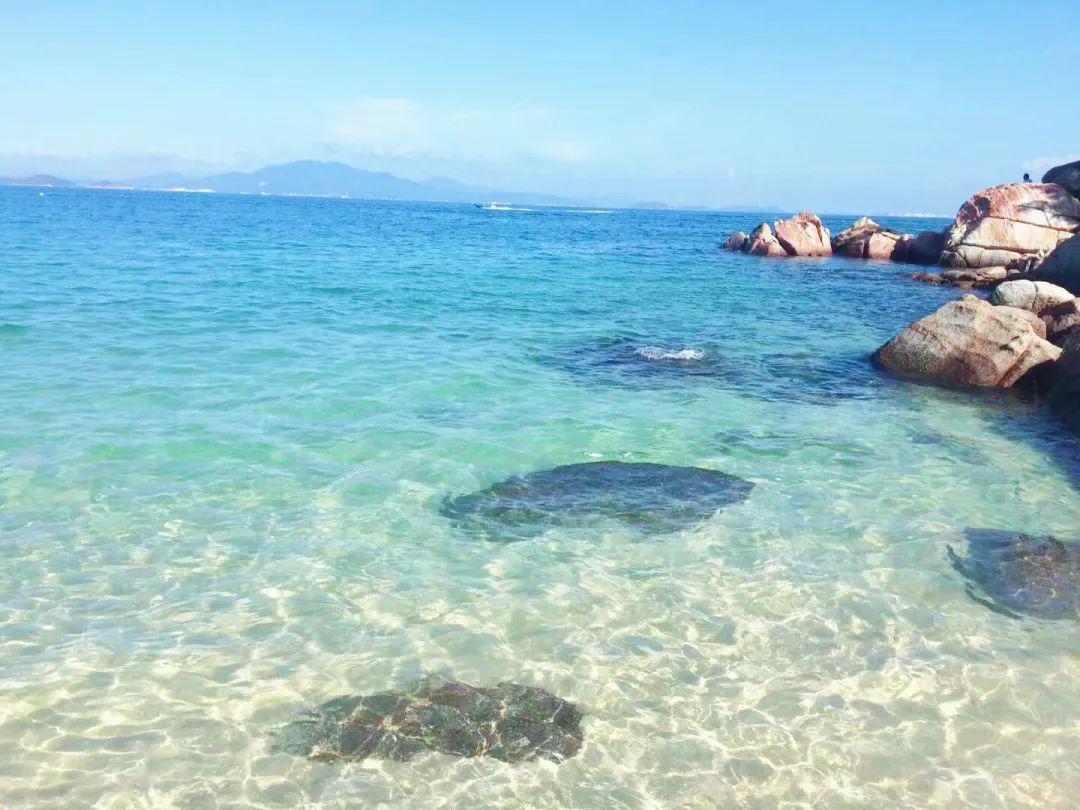 299=2套泡泡海海景两房一厅!楼下就是海,零距离幽静私享!