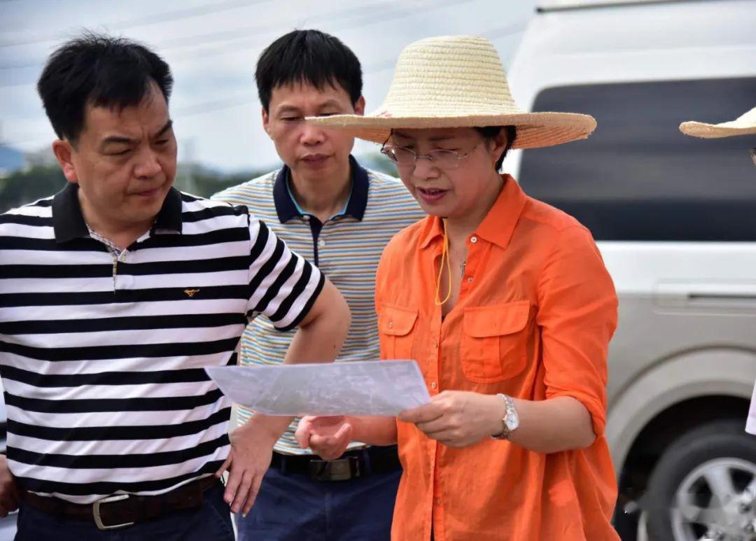 以绣花功夫抓好项目建设管理武平县长张丽华调研县重点城建环保项目