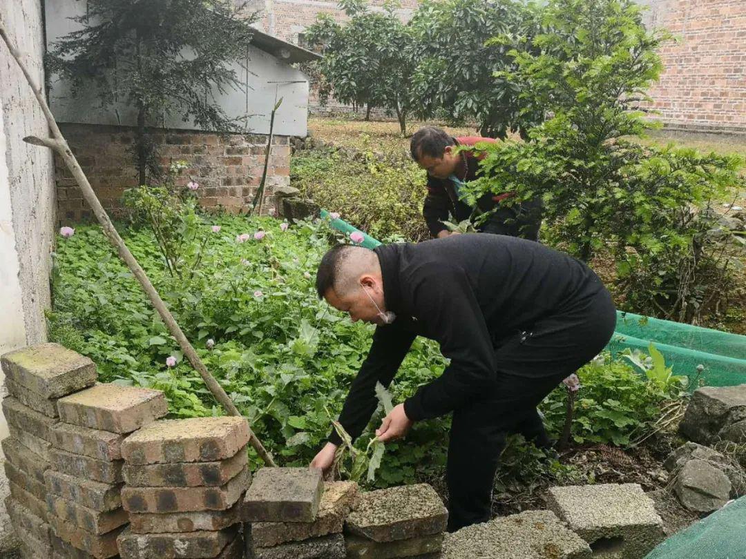 民警在轄區排查時先後發現村民在農田附近和後院豬圈邊種植有罌粟