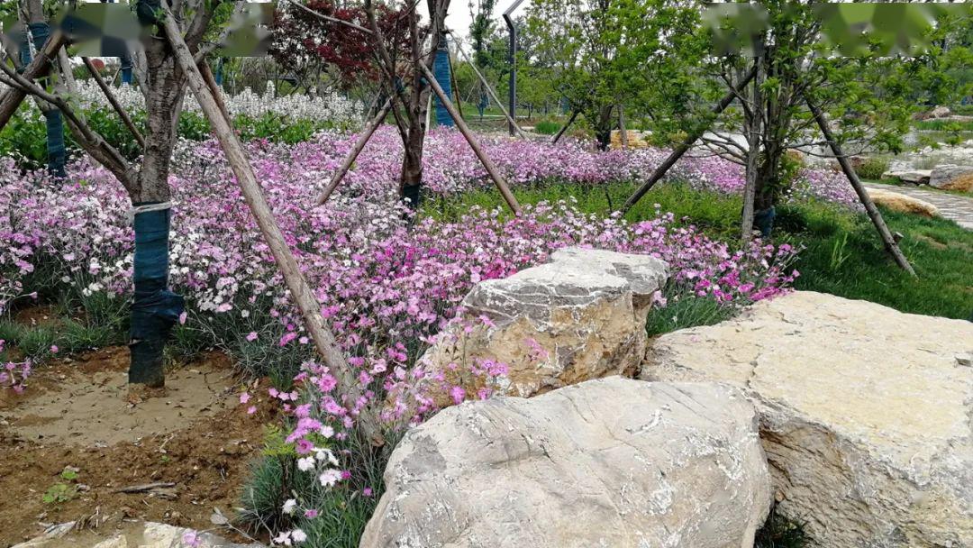 城南植物园5月底具备开园条件!