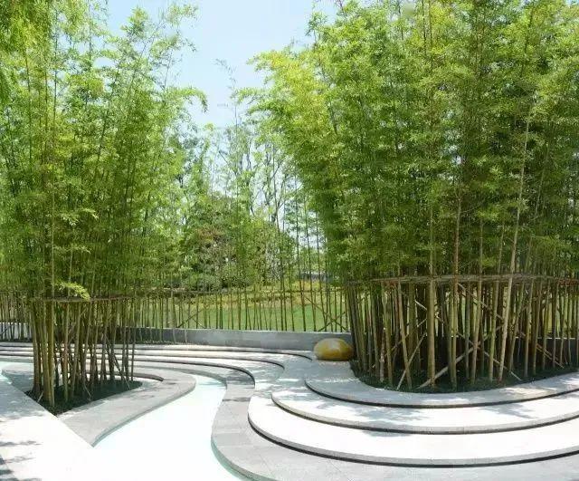 以竹造园竹因园而茂园因竹而胜