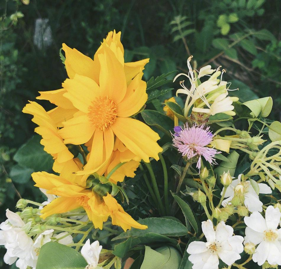 照片中,李沁手拿着一朵黄色花朵,遮住一只眼睛,文艺唯美,犹如画中人.