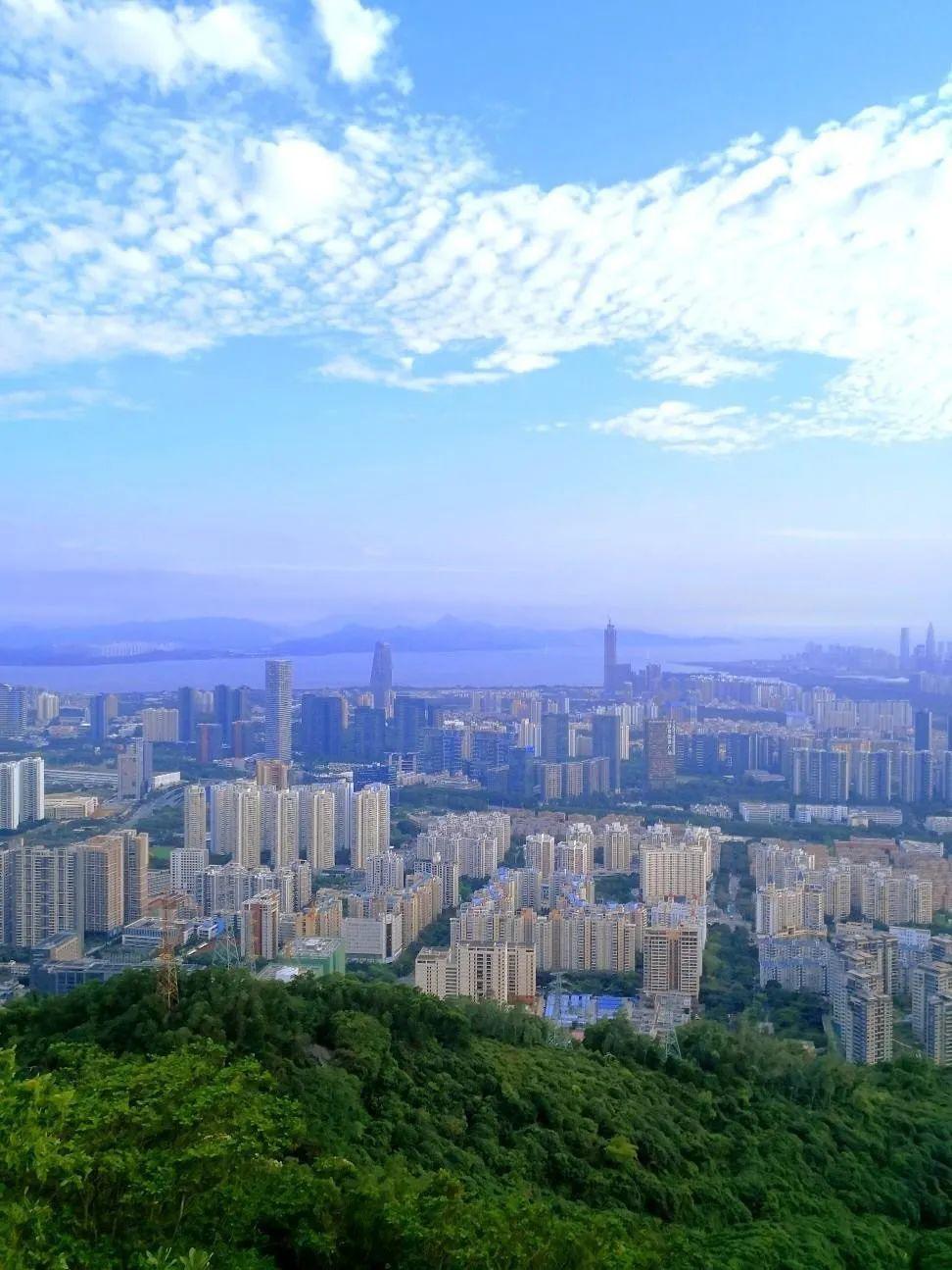 登上山顶能看到罗湖,福田,南山的景色,山上还有风景优美的小路.