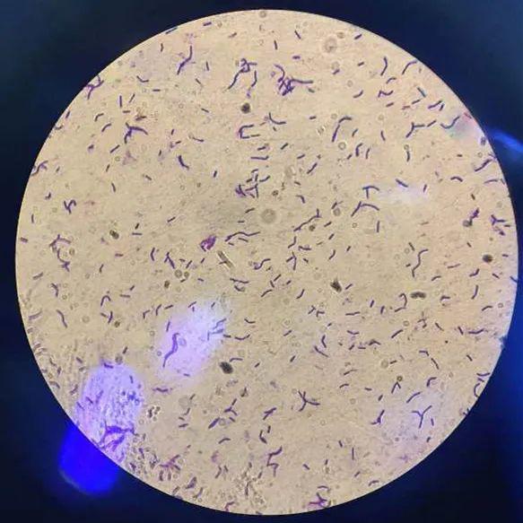 据了解,这次试验船安排了航天育种,空间生物等相关实验类项目75个