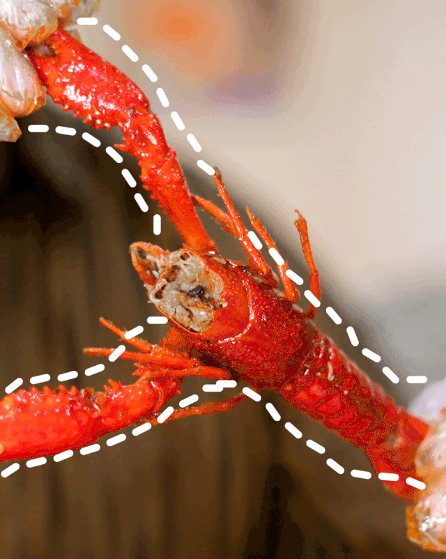 小龙虾免费吃整个5月买一送一仙姑婆鲍鱼焖锅王秘制小龙虾火爆上市