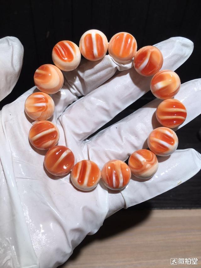 文玩冷门品类"万宝螺"想盘出完美包浆必须"另辟蹊径"_盘玩