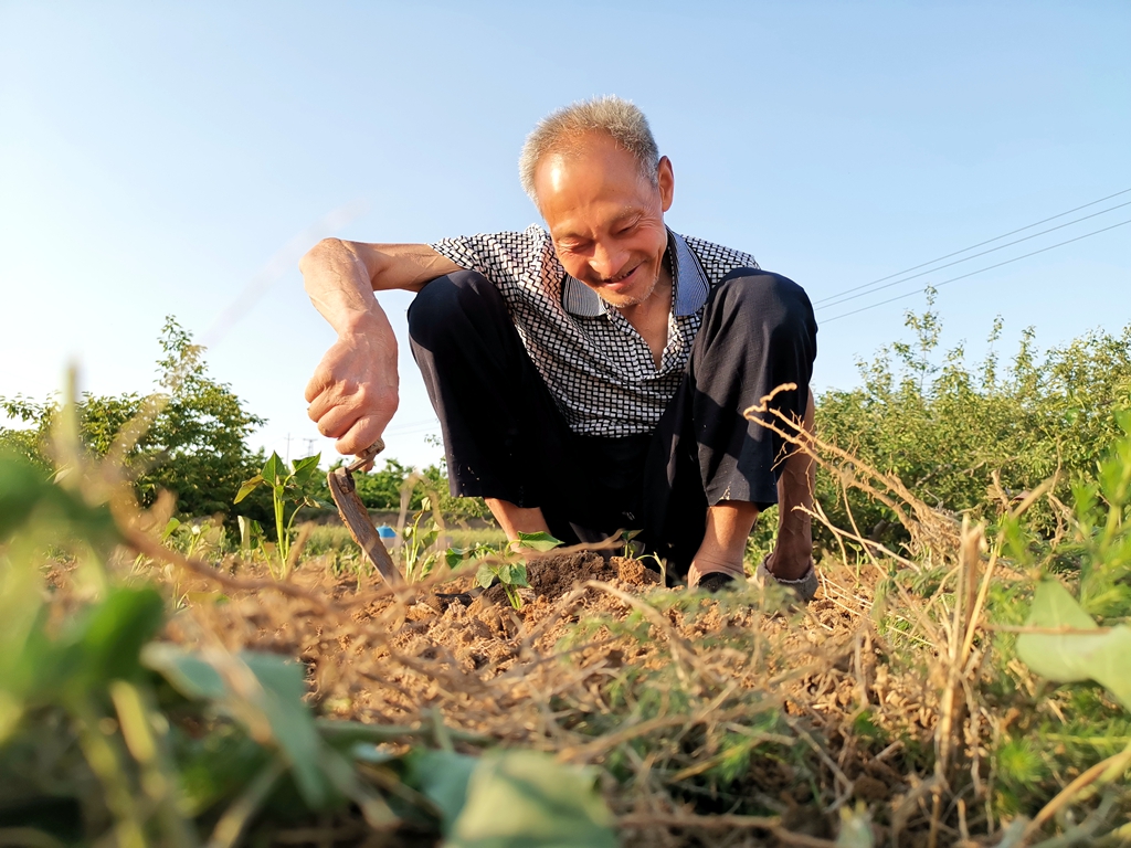 山西农民生了3个女娃,老了说有闺女真好,啥情况