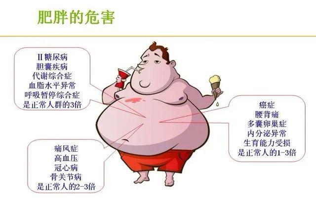 肥胖的危害数据图图片