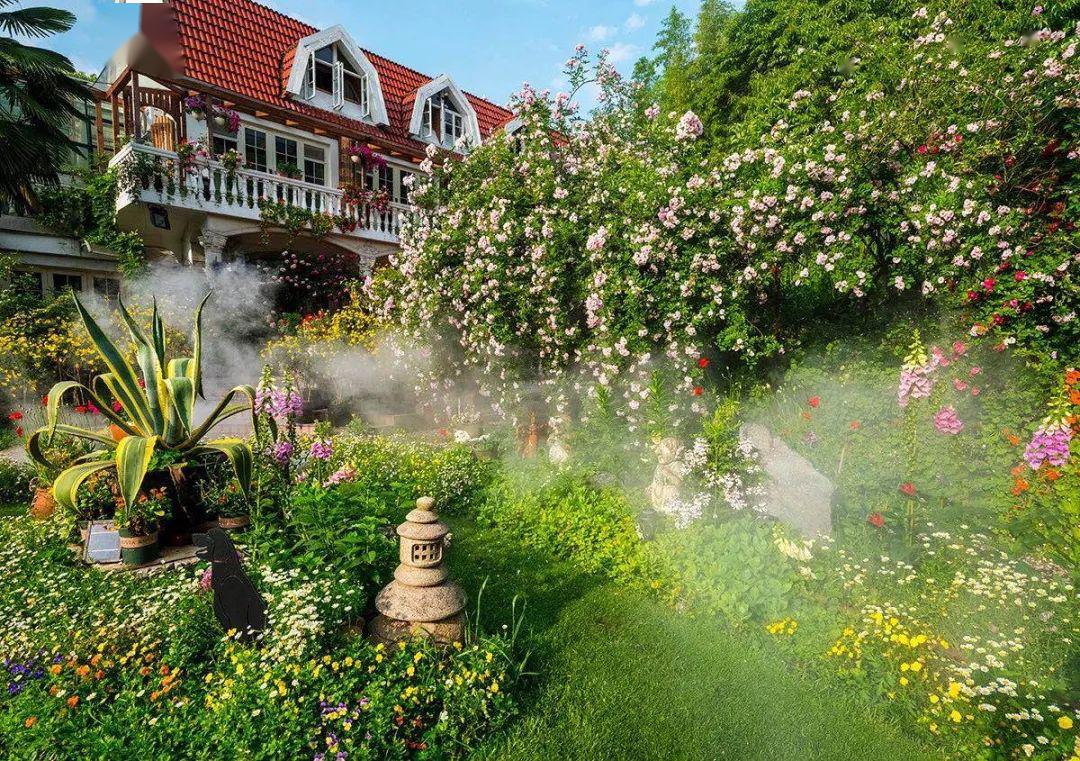 氤氲雾气将花园衬得宛如人间秘境亦是一片花海初放玉英争春位于安徽