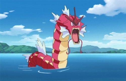 宝可梦:宝可梦趣事,被路人吐槽的三条咸鱼,在粉丝眼里都很强_进化