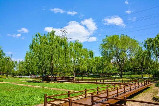 北京巴沟山水园田园好风光让你开启避暑新模式