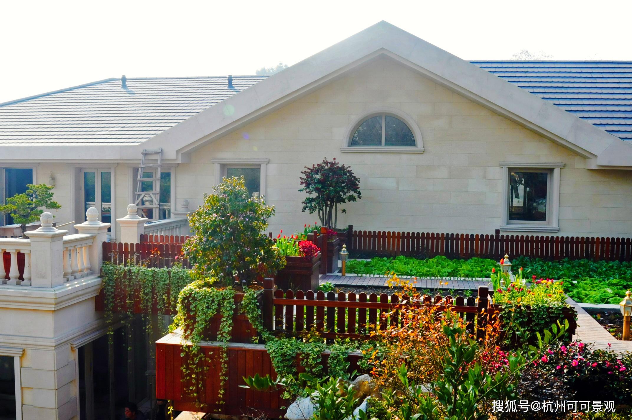 杭州庭院设计案例赏析:这样美的庭院,确定不进来看看嘛!_风景