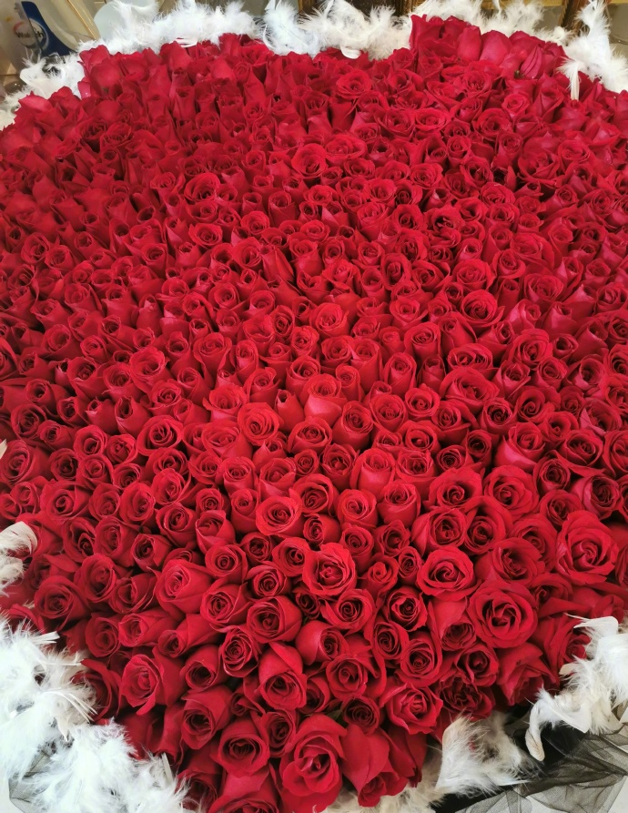 杨钰莹生日收到999朵玫瑰 趴在巨型花束上嫣然一笑