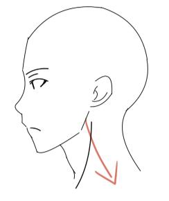 人物的脖子就应该这样画小学生都能学会的人物脖子正确画法