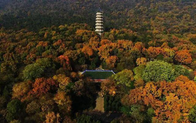 紫金山,青龙山,黄龙山等景观壮丽;仙林湖,羊山湖等湖泊星罗棋布;灵谷