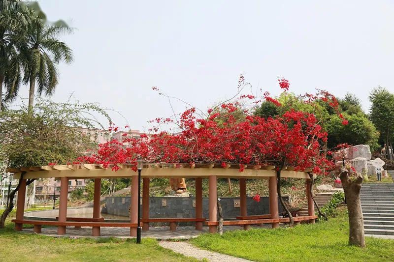 草木蔓发果山葱茏学子归来善行待发同乐主力学校复学第一天