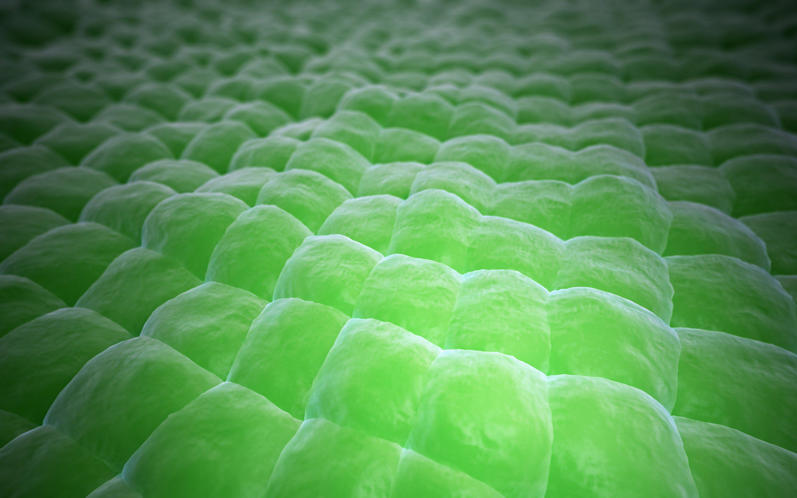 科学杂志发文人造叶绿体来了理论上可将co2转化为任何我们需要的有机