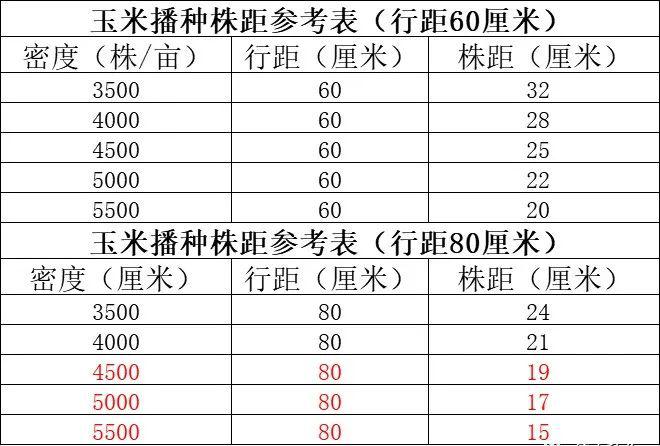 那么,播种密度确定后,怎么计算每亩地的播种行距和株距呢?