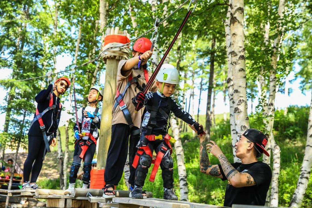 一篇文章教你玩转万龙了解一下