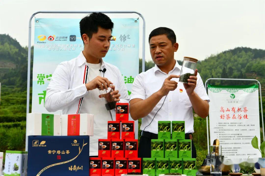 副市长直播带货常宁塔山茶常宁茶油销售额598万元