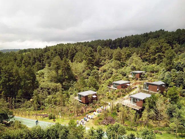 新农新解森林康养基地建设32问