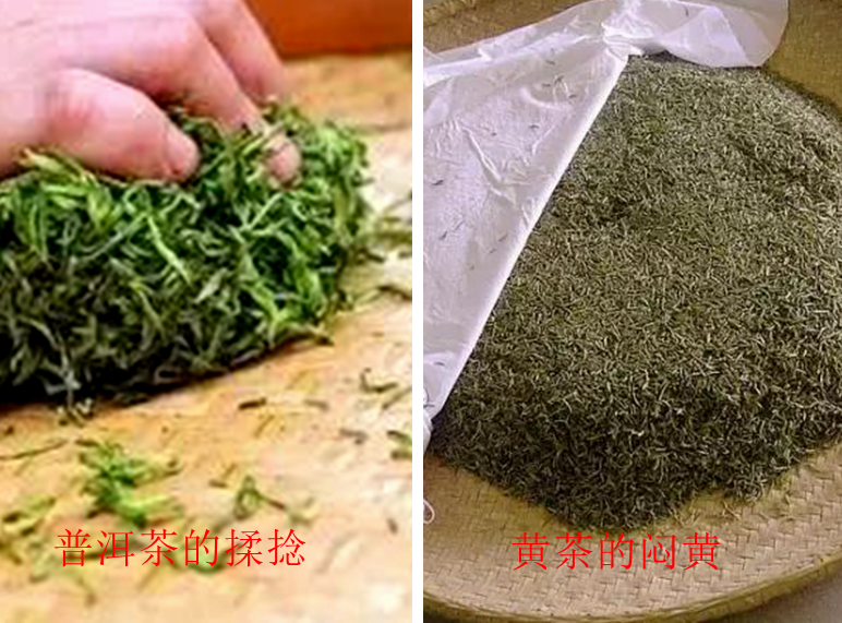 刀哥说茶论普洱茶的黄茶化