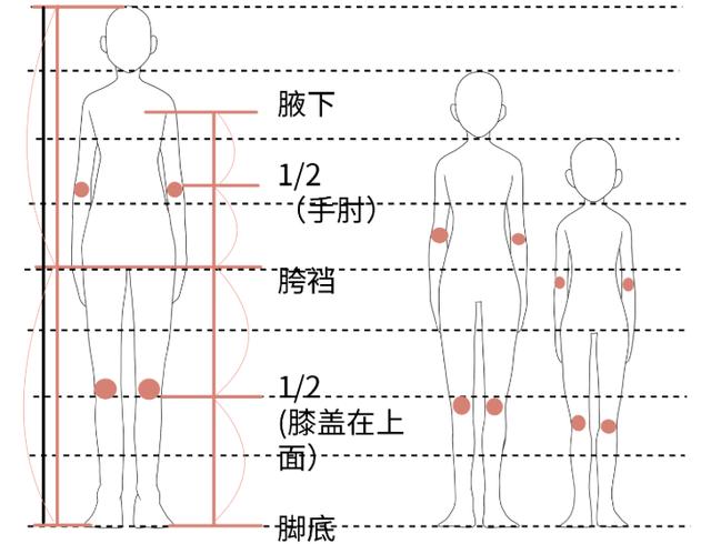 画男生跟女生有什么区别?一篇文章轻松掌握男女比例的画法啊