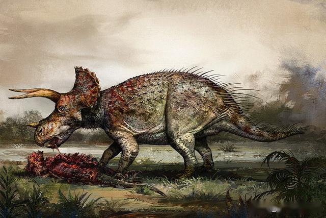 三角龙的这些冷知识你肯定不知道