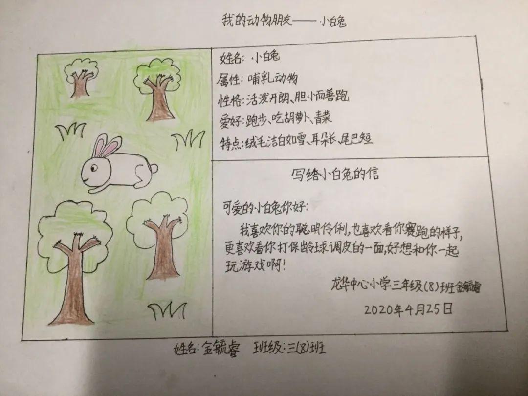 通过制作"朋友介绍卡",孩子们可以学习地球生物多样性的重要知识,深入