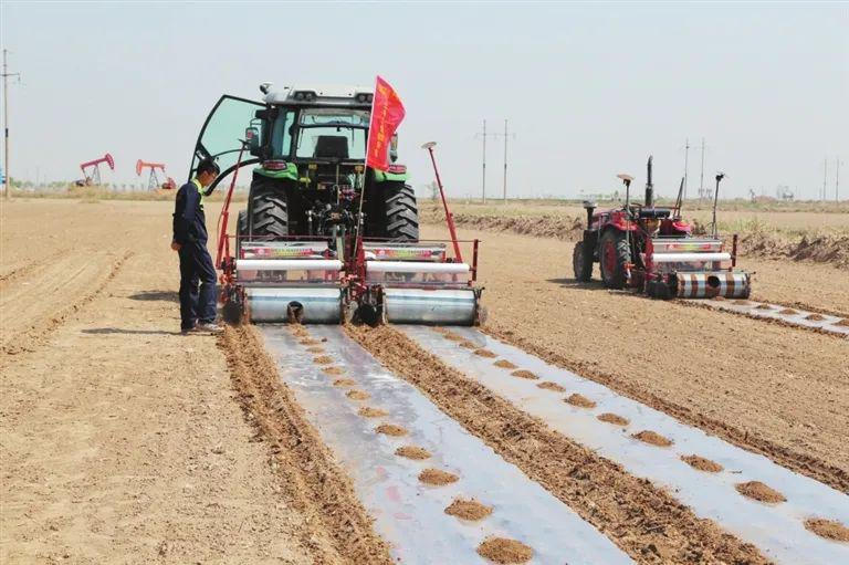 新机械新技术广饶棉花种植告别人海战术