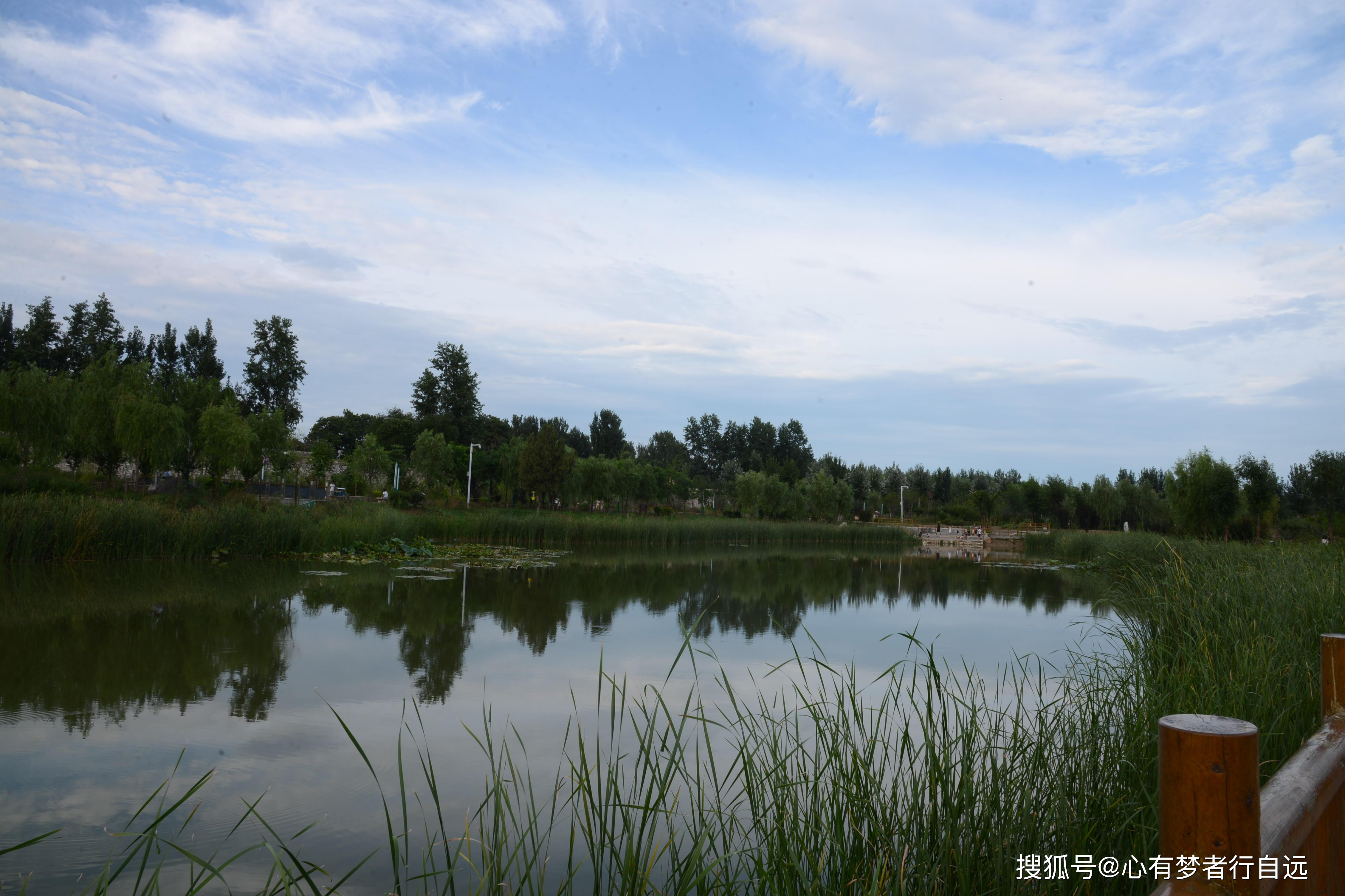 濮阳金堤河国家湿地公园:醉美湿地 云水风情