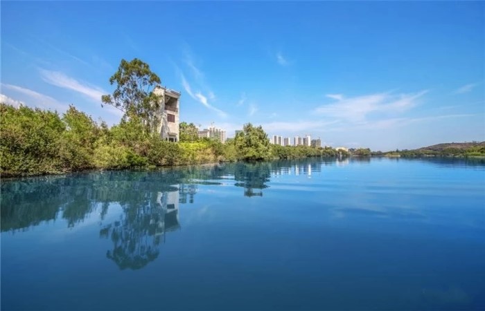 惠州伟业美悦湾究竟发生了什么事为什么外地人也来买原来这么回事